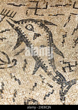 Mosaïques de la maison du chevalier. Cité romaine de Volubilis (II d.c.) Banque D'Images