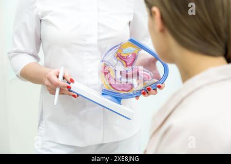 Médecin gynécologue consulting patient à l'aide de l'anatomie de l'utérus model Banque D'Images