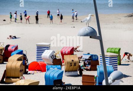 Borkum, Allemagne. 26 juin 2024. Une mouette se trouve sur une lanterne par temps ensoleillé devant de nombreuses chaises de plage et tentes de plage sur la plage de l'île. Les vacances d'été en basse-Saxe ont commencé le 24.06.2024. Crédit : Hauke-Christian Dittrich/dpa/Alamy Live News Banque D'Images