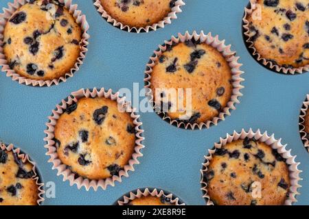 Muffins aux myrtilles frais. Savoureux petit gâteau sucré vue de dessus plat. Pâtisserie dessert maison. Tarte aux baies dans une boîte à muffins en silicone. Banque D'Images