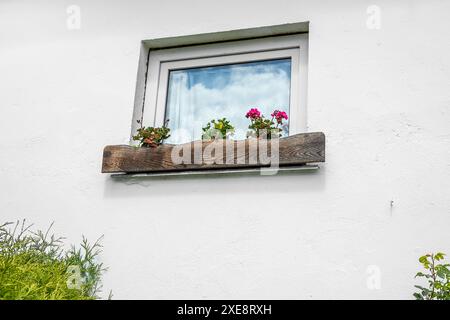 Géranium fleuri sur la fenêtre d'une maison de village, concept esthétique de base de chalet et style de vie calme Banque D'Images