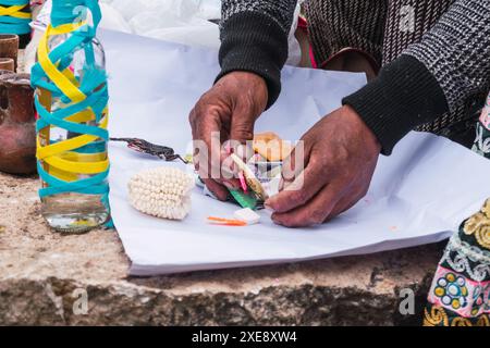 Rituel traditionnel de paiement à la terre avec des feuilles de coca et chicha de jora dans les Andes de la chaîne de montagnes par une journée ensoleillée Banque D'Images