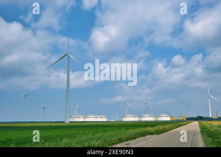 Route menant aux grandes éoliennes et réservoirs de stockage de pétrole dans la zone industrielle d'Eemshaven, province de Groningen, pays-Bas. Banque D'Images