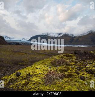 Islande automne paysage de toundra près du glacier de Haoldukvisl, Islande. La langue du glacier glisse de la carte de la Vatnajokull ou de la Vatna GL Banque D'Images