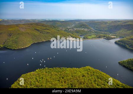 Vue aérienne, voiliers sur la Rursee avec mur de barrage Rurtalsperre Schwammenauel, amarrages de bateaux ronds, zone côtière boisée, collines et vallées forêt Ar Banque D'Images