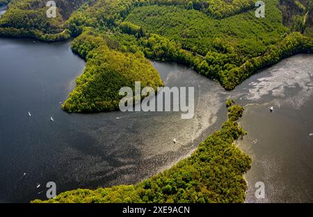 Vue aérienne, Rursee Rurtalsperre et zones riveraines boisées, le Rursee avec pointe de l'île Eichert et péninsule Tonsberg et voiliers en contre-jour, Banque D'Images