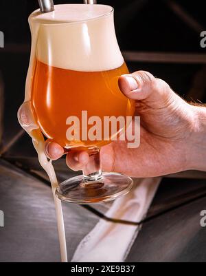 Barman versant de la bière fraîche dans un verre dans un pub Banque D'Images