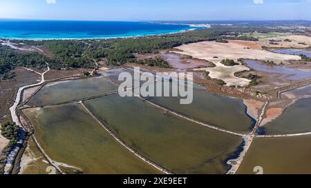 Es Trenc-Salobrar de Campos Parc naturel terrestre maritime Banque D'Images