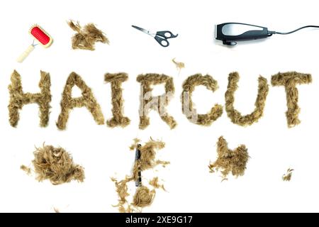 Typographie créative faite avec de vrais poils de chien. Cheveux blonds sur fond blanc chiens, chats, animaux de compagnie, monstres et autres animaux à fourrure. Alphabet complet. BT Banque D'Images