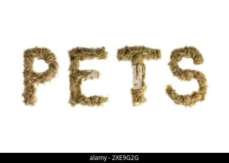 Typographie créative faite avec de vrais poils de chien. Cheveux blonds sur fond blanc chiens, chats, animaux de compagnie, monstres et autres animaux à fourrure. Alphabet complet. bt Banque D'Images