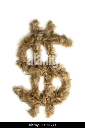 Typographie créative faite avec de vrais poils de chien. Cheveux blonds sur fond blanc chiens, chats, animaux de compagnie, monstres et autres animaux à fourrure. Alphabet complet. à faire Banque D'Images