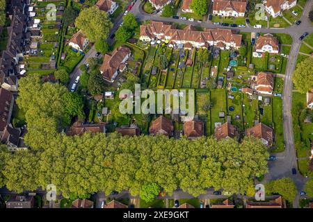 Vue aérienne, exploitation minière Teutoburgia ou ville-jardin Teutoburgia avec toits rouges et avenue bordée d'arbres, bâtiment classé, Börnig, Herne, Ruhr Banque D'Images