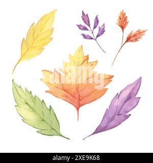 Feuilles d'automne serties avec de l'herbe. Éléments de design automnal multicolores. Jaune, orange, rouge, violet feuille clipart aquarelle pour impression, cartes, Thanksgiving, célébrations saisonnières, arrangements de voeux floraux Banque D'Images