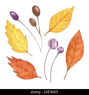 Feuilles d'automne serties avec des baies brunes violettes. Éléments de design automnal multicolores. Jaune, feuille orange clipart aquarelle pour impression, cartes, Thanksgiving, célébrations saisonnières, arrangements de voeux Banque D'Images