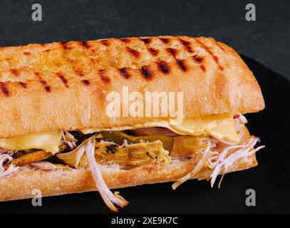 Gros sandwich avec poulet sur planche de pierre Banque D'Images