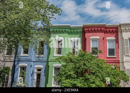 Maisons de rangée colorées dans le quartier de Capitol Hill, Washington DC États-Unis Banque D'Images