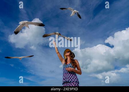 Seaside Serenity : une belle évasion avec des mouettes et des collations Banque D'Images