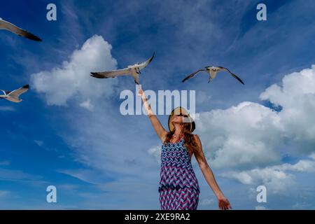 Seaside Serenity : une belle évasion avec des mouettes et des collations Banque D'Images