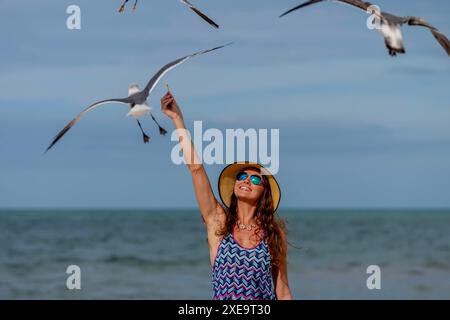 Seaside Serenity : une belle évasion avec des mouettes et des collations Banque D'Images