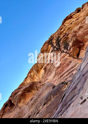 Majestueuses formations rocheuses de Pétra : beauté antique sous un ciel bleu Banque D'Images