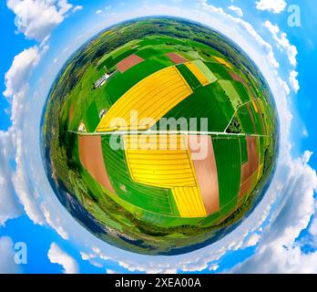 Vue aérienne, champs de colza de Galgenberg, prairies et champs de structures carrelées colorées, globe terrestre, image fisheye, image à 360 degrés, monde minuscule, littl Banque D'Images