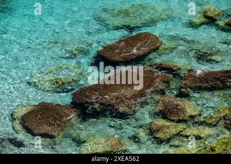 Pièges à Calo des Moro Banque D'Images