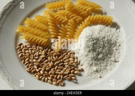 Triticum aestivum, blé, céréales, nouilles, farine Banque D'Images