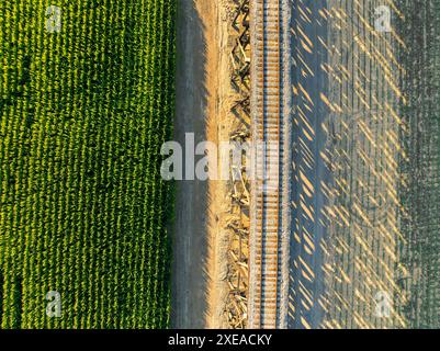 Tréteau de chemin de fer traversant des terres agricoles vu d'une vue d'oiseau Banque D'Images