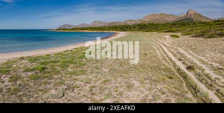Chemin en bois pour protéger les dunes Banque D'Images