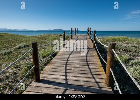 Chemin en bois pour protéger les dunes Banque D'Images