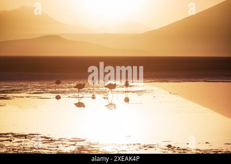 Lagon dans le désert d'Atacama. Il s'étend le long de la côte Pacifique de l'Amérique du Sud sur une distance d'environ 1200 kilomètres, C Banque D'Images