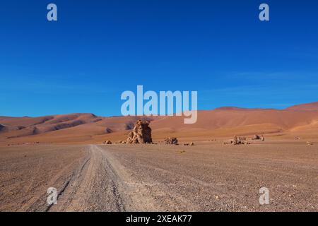 Le désert d'Atacama s'étend le long de la côte pacifique de l'Amérique du Sud sur une distance d'environ 1200 kilomètres, Chili Banque D'Images