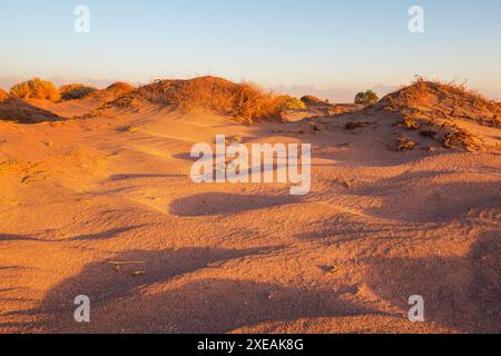 Le désert d'Atacama s'étend le long de la côte pacifique de l'Amérique du Sud sur une distance d'environ 1200 kilomètres, Chili Banque D'Images