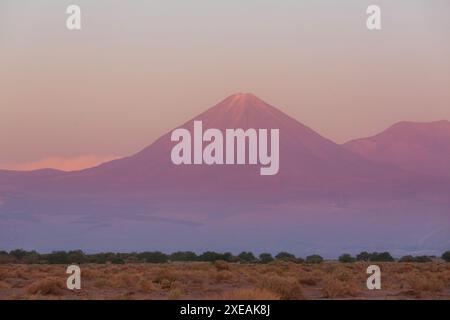 Lagon dans le désert d'Atacama. Il s'étend le long de la côte Pacifique de l'Amérique du Sud sur une distance d'environ 1200 kilomètres, C Banque D'Images