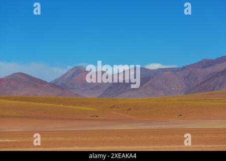 Le désert d'Atacama s'étend le long de la côte pacifique de l'Amérique du Sud sur une distance d'environ 1200 kilomètres, Chili Banque D'Images