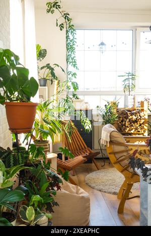 Plantes tropicales d'intérieur dans la chambre intérieure loft blanc dans la maison de campagne, meubles en bois, bois de chauffage pour cheminée à la lumière du soleil. H Banque D'Images