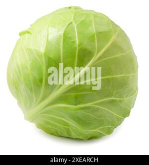 Chou blanc entier isolé sur un fond blanc. Banque D'Images