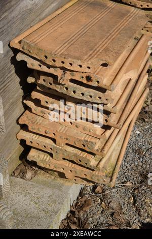 Nestbox avec bourdon Banque D'Images