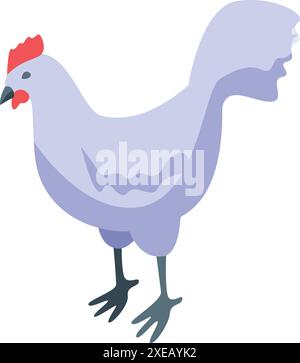 Poule blanche debout et à la recherche de nourriture dans la vue isométrique Illustration de Vecteur