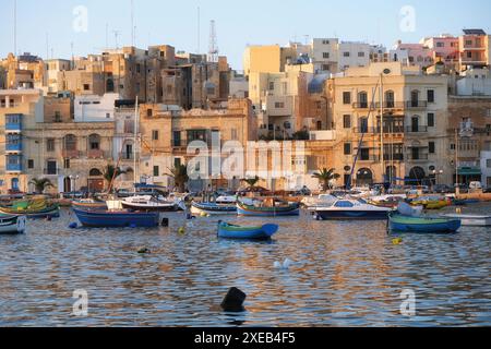 La vue de la ville de Kalkara sur la baie de Kalkara dans la lumière du coucher du soleil. Malte Banque D'Images