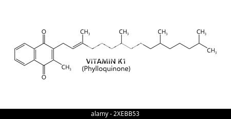 Formule de vitamine k1 ou de phylloquinone, comprenant un système cyclique 2-méthyl-1,4-naphtoquinone. Sa formule chimique est c31h46o2. Structure vectorielle isolée essentielle à la coagulation sanguine et au métabolisme osseux Illustration de Vecteur