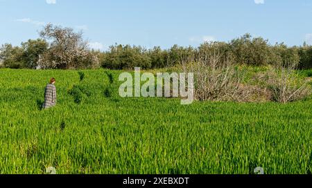 Jeune femme marchant seule à travers un champ de prairie vert. Banque D'Images