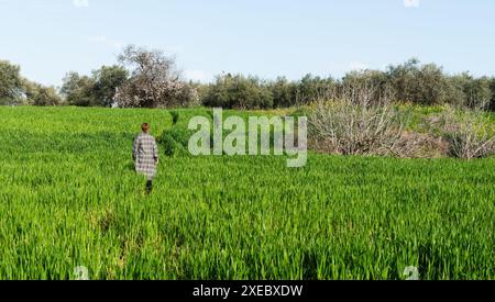 Jeune femme marchant seule à travers un champ de prairie vert. Banque D'Images