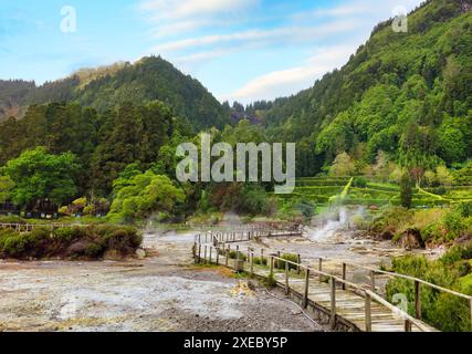 Sources thermales du lac de Furnas. Sao Miguel, Açores. Lagoa das Furnas HotSprings. São Miguel, Açores, Portugal. Ventilation à la vapeur à Lagoa das Furnas hotspr Banque D'Images