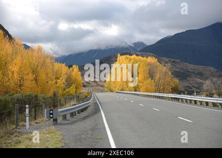 Feuillage coloré sur les arbres près du pont Cass sur SH 73, South Island, Nouvelle-Zélande à l'automne 2023 Banque D'Images