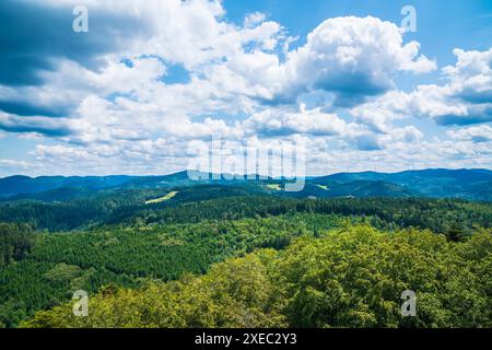 Allemagne, panorama aérien paysage nature vue drone au-dessus des cimes des arbres de schwarzwald, des montagnes et des vallées et de nombreuses éoliennes Banque D'Images