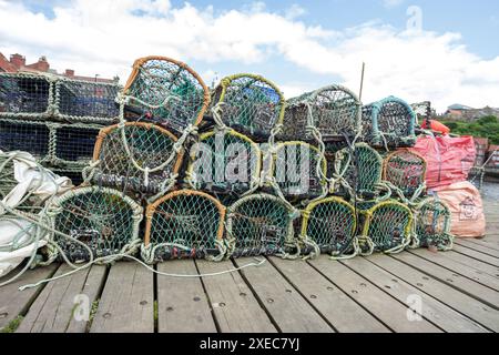 Des casiers à homard et des paraphénales de pêche commerciale bordent le quai à Whitby, dans le North Yorkshire. Banque D'Images