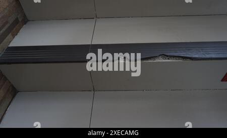 Une plante qui a des feuilles rouge foncé est dans le jardin d'une gare Banque D'Images