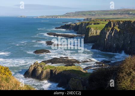 Littoral spectaculaire à Dunseverick sur la Causeway Coast, comté d'Antrim, Irlande du Nord, Royaume-Uni. Printemps (mars) 2024. Banque D'Images