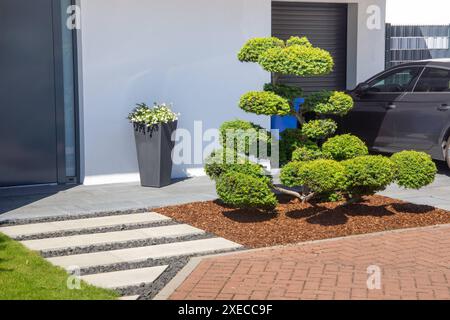 Moderner und gepflegter Vorgarten mit schöner Bepflanzung *** jardin moderne et bien entretenu avec de belles plantations Copyright : xUdoxHerrmannx Banque D'Images